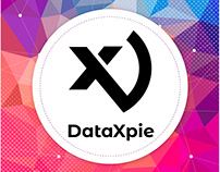 DataXpie Logo - Red Abstract