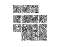 Ips Typographus - 36dot
