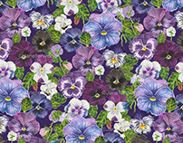 watercolor pansy flowers - purple mix