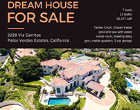 Luxury California Mansion - Flyer