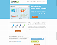 Fisheye analytics website