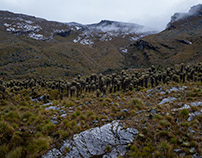 Sierra Nevada Del Cocuy