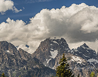 Spring In The Tetons - July 2020