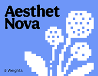 Aesthet Nova – Type Family