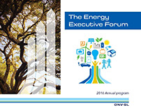 2016 DNV GL Energy Executive Forum