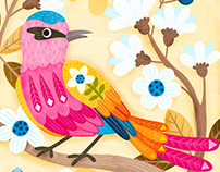 Birds Butterflies & Blossoms Illustration 2019