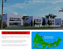Development Company website design