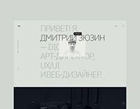 Dmitry Zyuzin — Portfolio