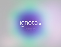 ignota.io | Branding research