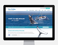 Blue Dolphin - Website