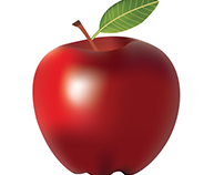 Fruit Illustration (Adobe Illustrator)