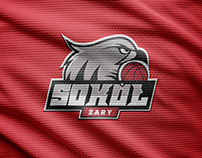 Mascot Logo | SOKÓŁ Żary Basketball