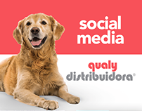Qualy Distribuidora - Social Media 2019/2020