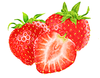 Strawberry - Illustration