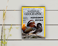National Geographic Graphic Design