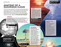Anatomy of a Mushroom Cloud