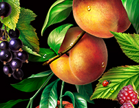 Fruit and berry illustrations for packaging
