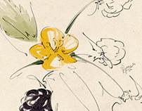 Herbarium of soul. Set of sensual illustrations