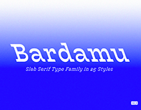 Bardamu — Variable Slab Serif