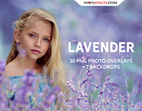 30 Lavender Photo Overlays