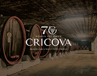 CRICOVA 70 years logo + Calendar