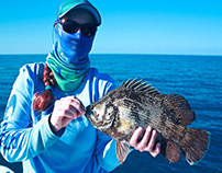 How To Choose Fishing Reel For Tripletail