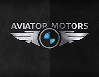 2016 Создание имиджа для сервиса BMW «Aviator Motors»