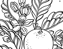Botanical Coloring Book Pages