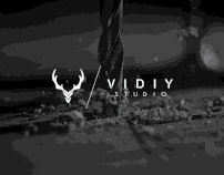 Vidiy Studio Branding