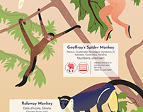 Primates in Peril - Poster