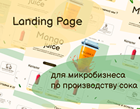 Landing Page for microbusiness by juice