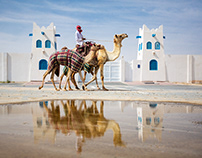 Camel Race | Qatar