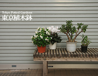 Tokyo Potted Gardens