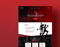Grizzly - Branding/WEB