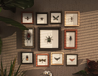The Art of 3D Insects Challenge