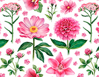 Pink flowers. Illustrations and pattern designs