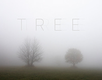 THE TREES
