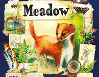 Meadow Board Game Illustrations