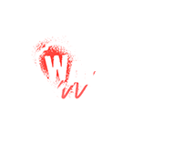 Warner Bros: Wanime