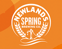 Newlands Spring x Endless Daze 2019