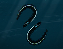 An eel's journey - WWF