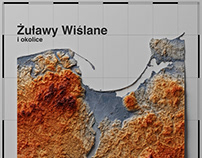 3D Topographic Map of Żuławy Wiślane (Poland)