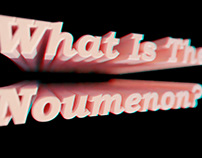 What Is The Noumenon?