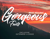 Best Selling Gorgeous Fonts