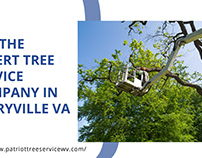 Get The Expert Tree Service Company in Berryville VA