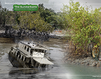 The Sundarbans Beauty & Climate Change Impact