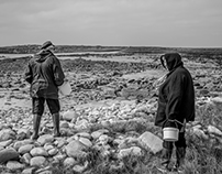 La pêche à pied en Bretagne