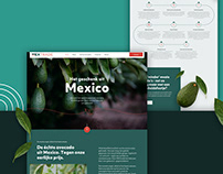 Branding and website design for Mextrade