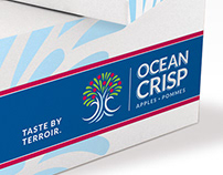 Ocean Crisp Identity