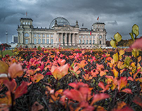 Autumn in Berlin II